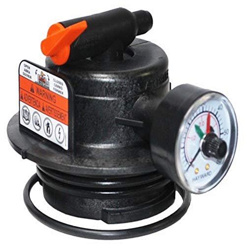 Hayward DEX2420MAR2 DE & Cartridge Filter Manual Air Relief Assembly - Mit Manometer