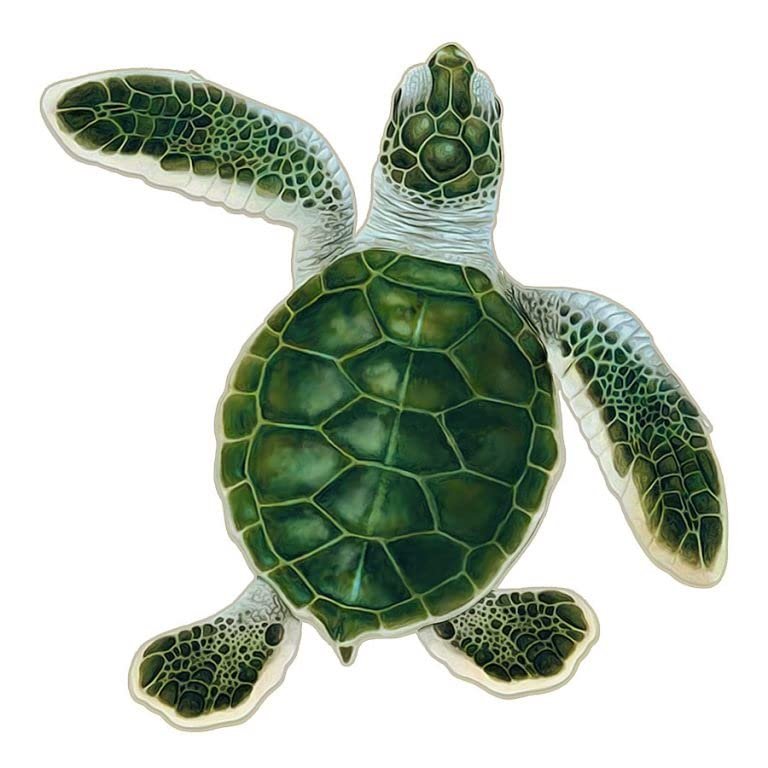 Turtle Hatchling Style A Porcelain Swimming Pool Mosaic (Style A - 5" x 5", Blue)