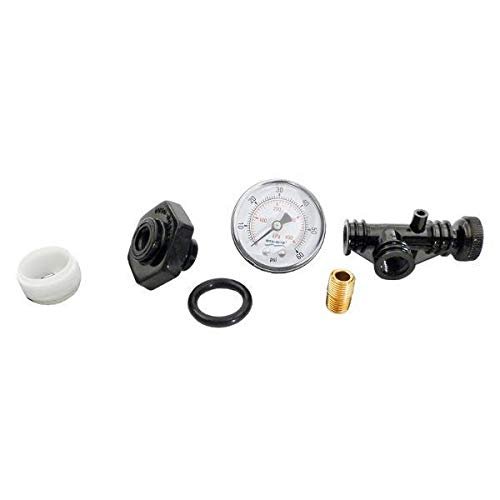 Pentair 24850-0105 Valve and Gauge Assembly Replacement for Select Sta-Rite Pool and Spa Filters
