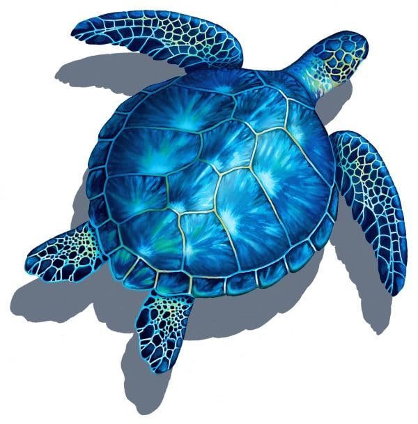 Sea Turtle Porcelain Swimming Pool Mosaic