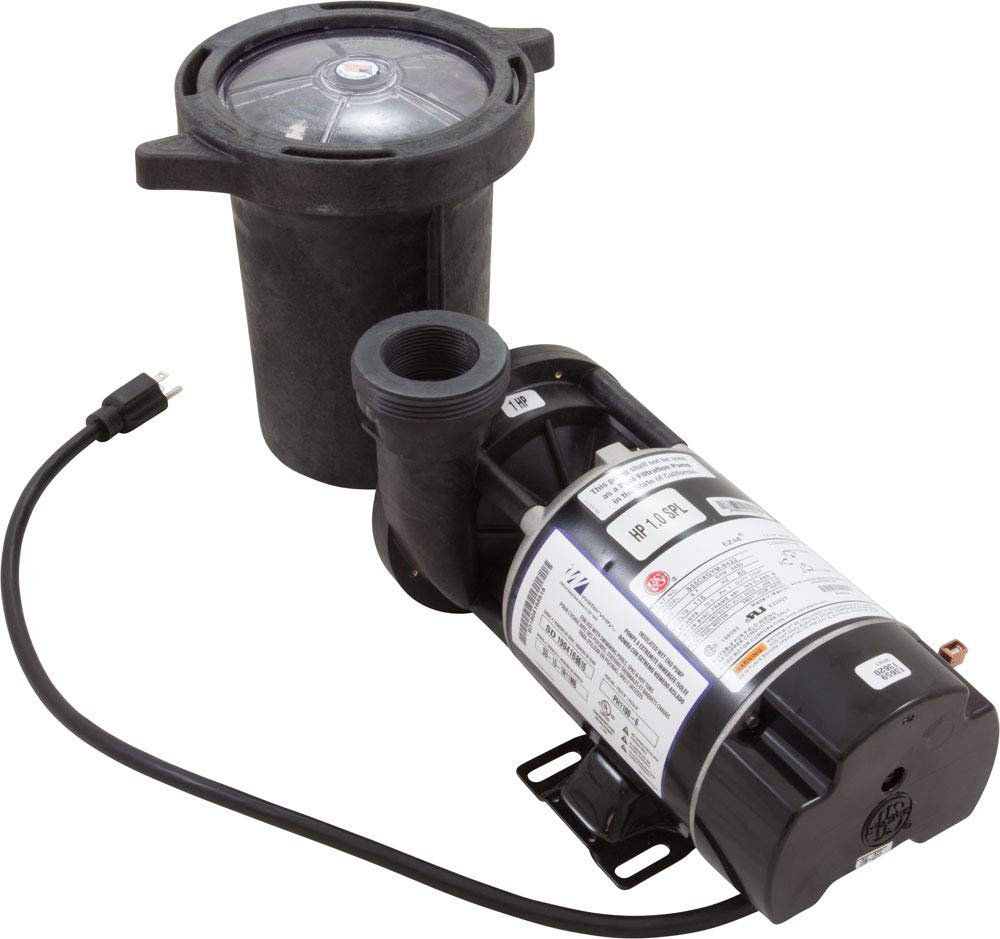 Waterway Plastics PH1100 Hi-Flo 1 hp Above Ground Pool Pump and Trap