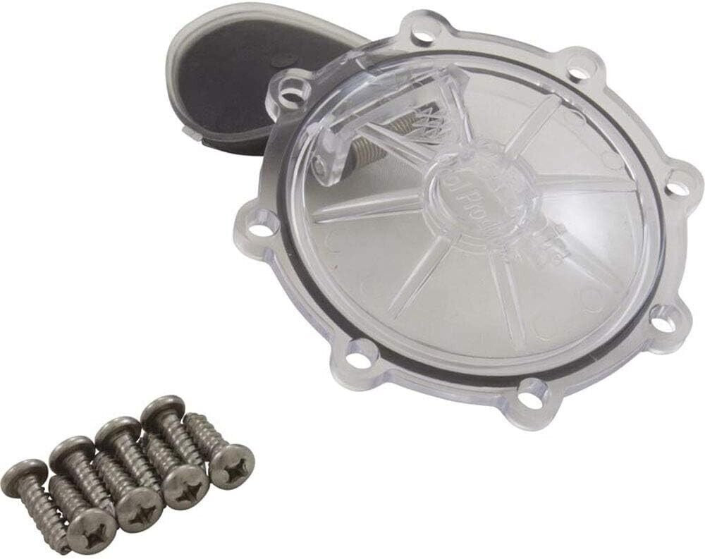 PENTAIR 2" and 2.5" Check Valve Rebuild Kit 263042Z