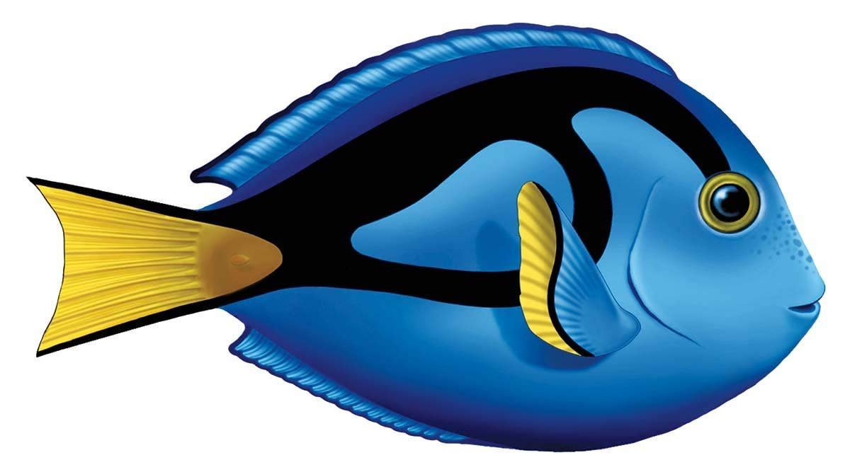 Blue Tang Porcelain Swimming Pool Mosaic