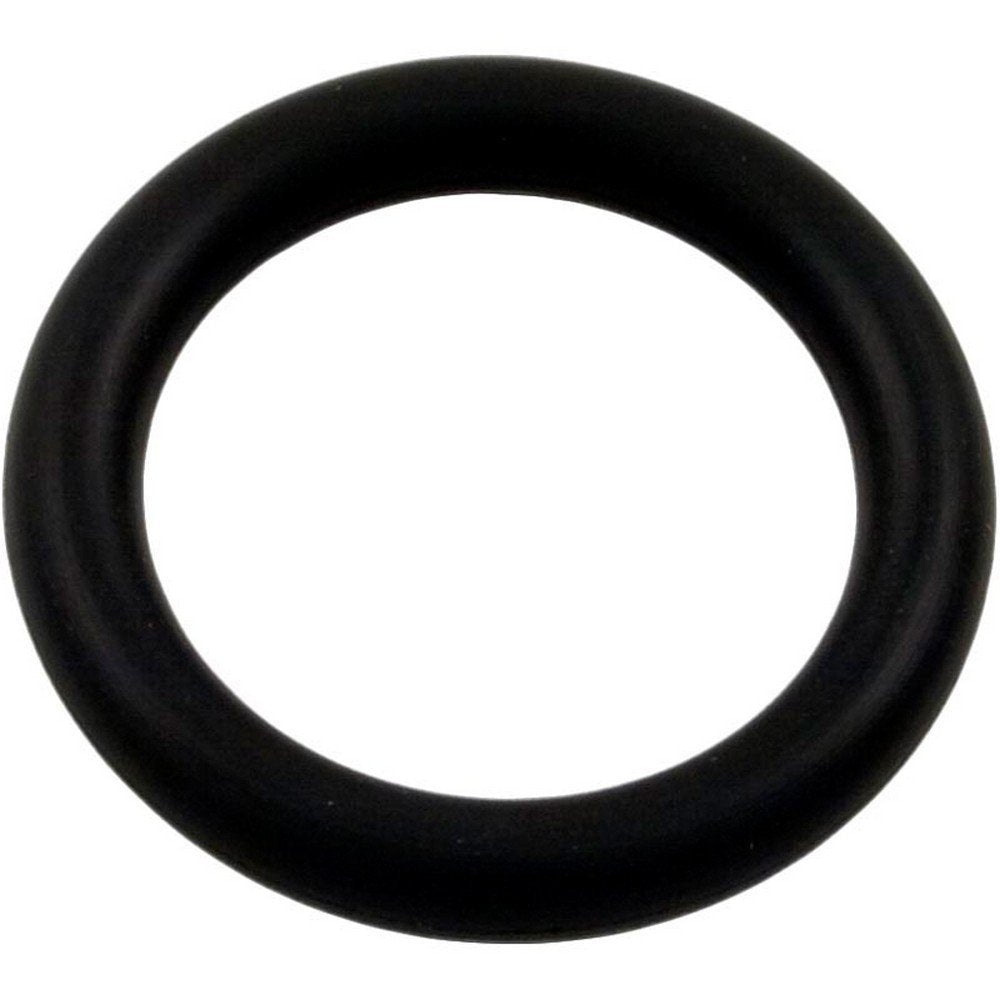 Pentair 79116900 O-Ring Replacement Pool and Spa Light