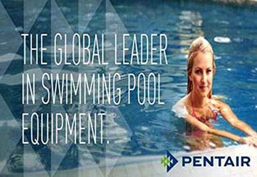 Pentair R141106 133 Floating Thermometer with 3-Feet Cord