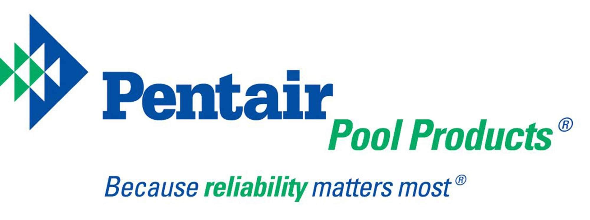 Pentair R121026 119 Blue Molded Frame Hand Skimmer with Reinforced Aluminum Handle