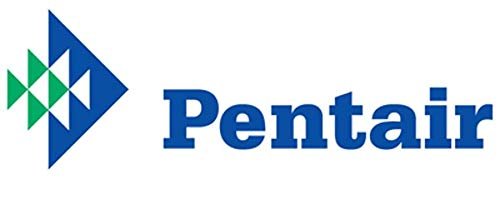 Pentair R121026 119 Blue Molded Frame Hand Skimmer with Reinforced Aluminum Handle