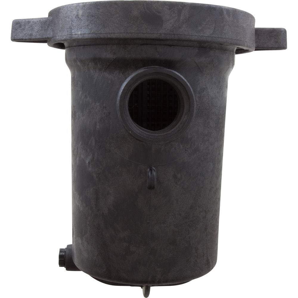 Waterway Plastics PH1100 Hi-Flo 1 hp Above Ground Pool Pump and Trap