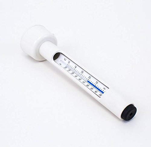 Pentair R141106 133 Floating Thermometer with 3-Feet Cord
