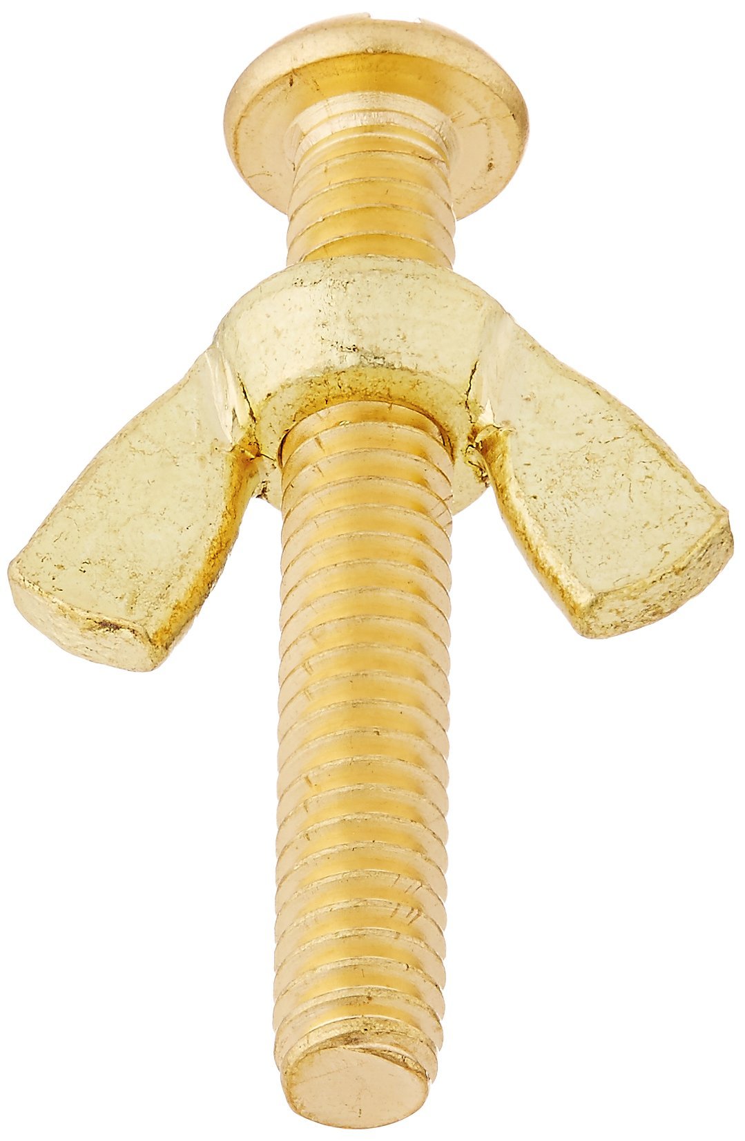 Pentair R221156 155 Brass Bolt and Wing Nut