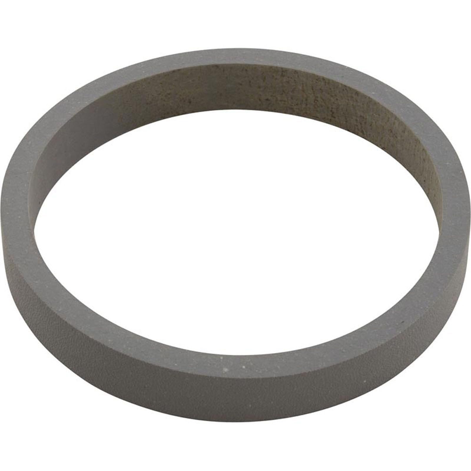 Pentair C21-2 Ring Diffuser Replacement Pool and Spa Pump