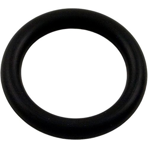 Pentair 79116900 O-Ring Replacement Pool and Spa Light