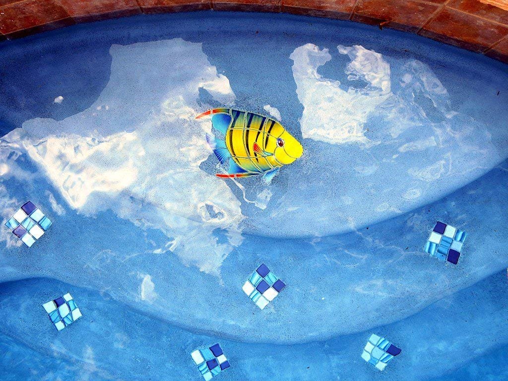 Banded Angel Fish Ceramic Swimming Pool Mosaic (9" x 10" Right)